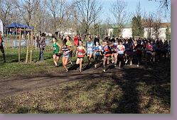 Begles 15.12.13 01 484 * 679 x 453 * (189KB)